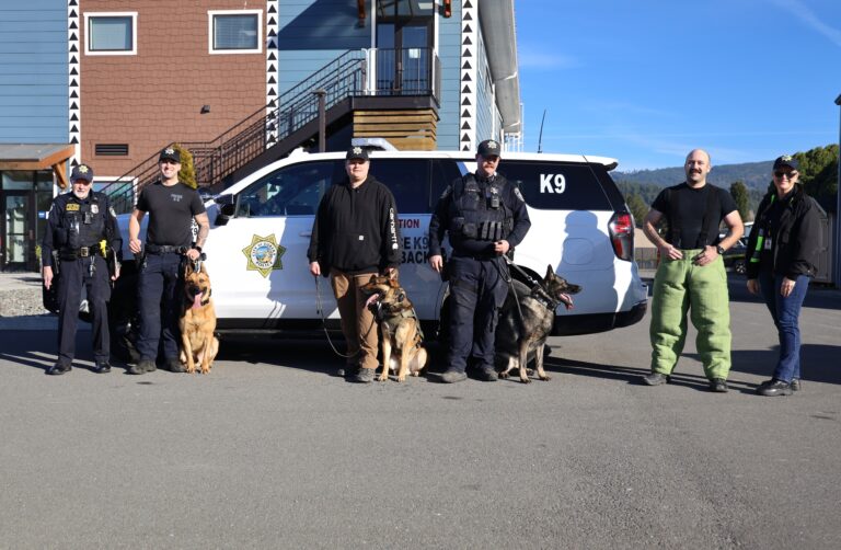 K-9