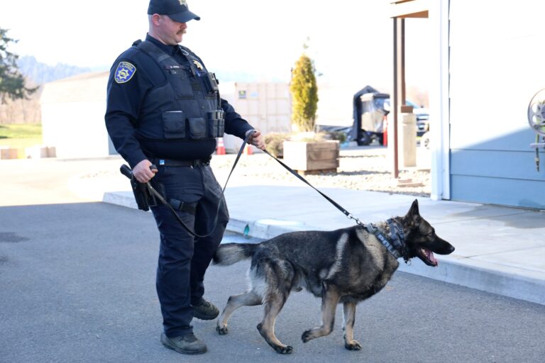K-9