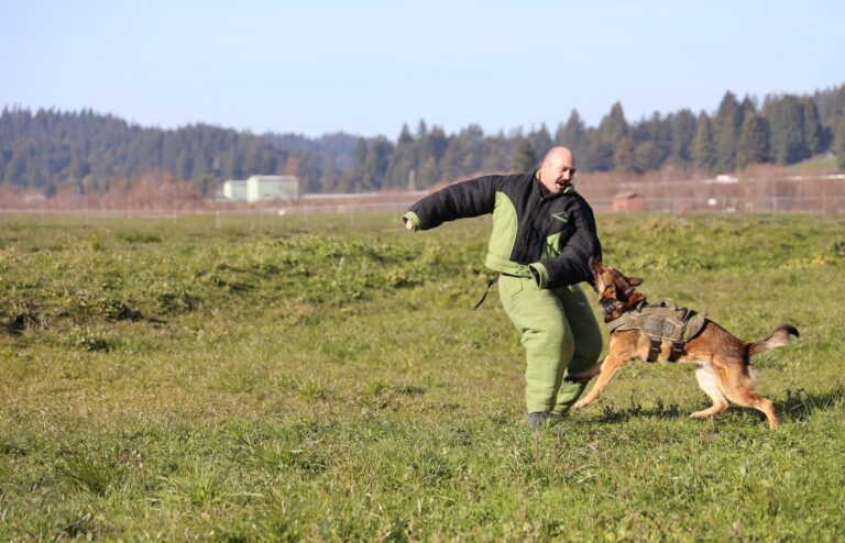 K-9