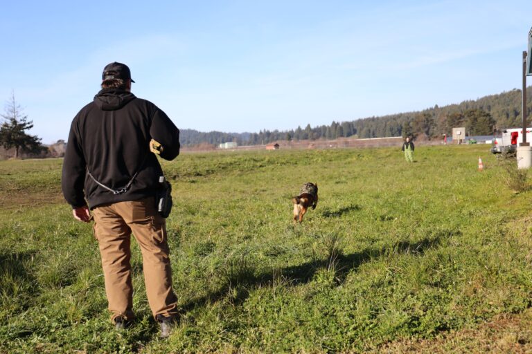 K-9