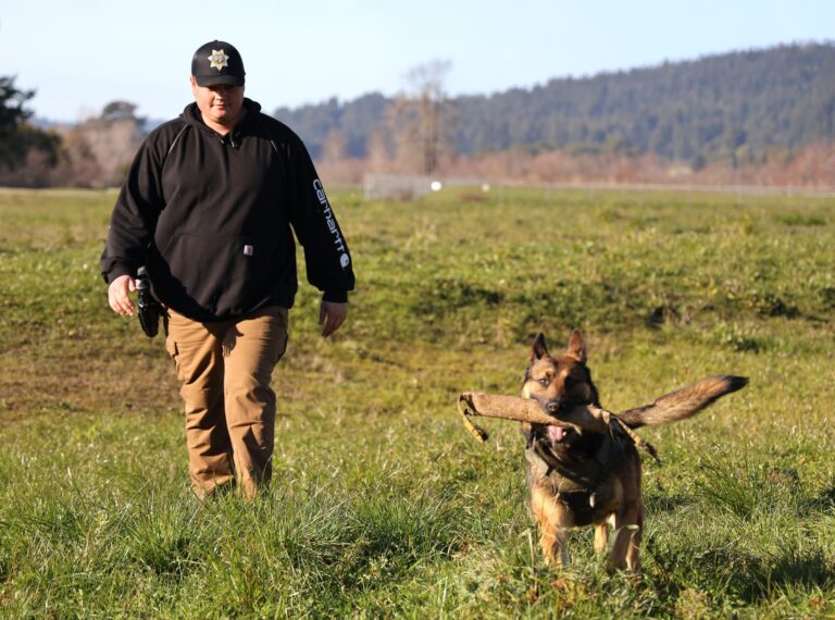 K-9