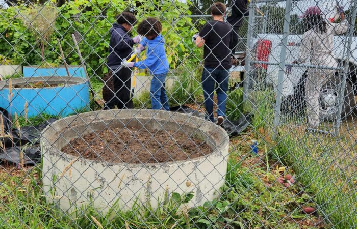 536003846_1257743492699605_5757451088310430419_n