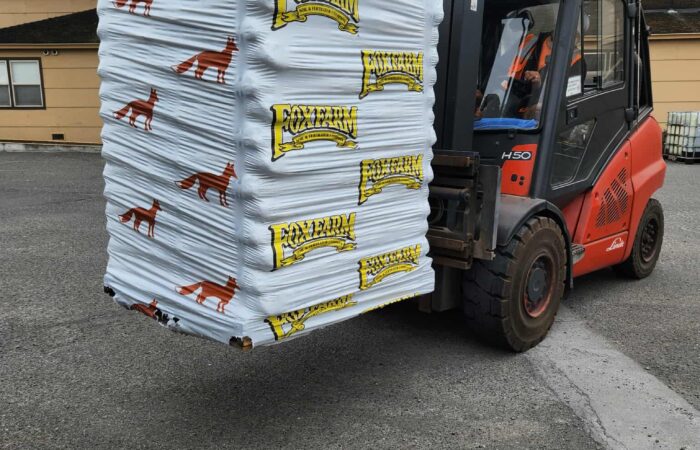 538629266_1296245701999891_2027240722082927060_n