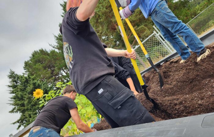 541080627_1986654898820454_2316918707913571869_n