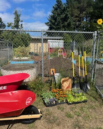 541115066_24564975119786261_6158091340892963305_n