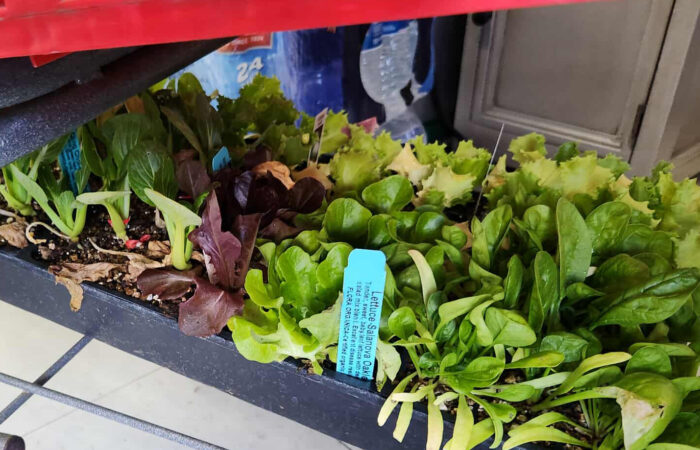 541208779_1678204776191504_1544908989601183665_n