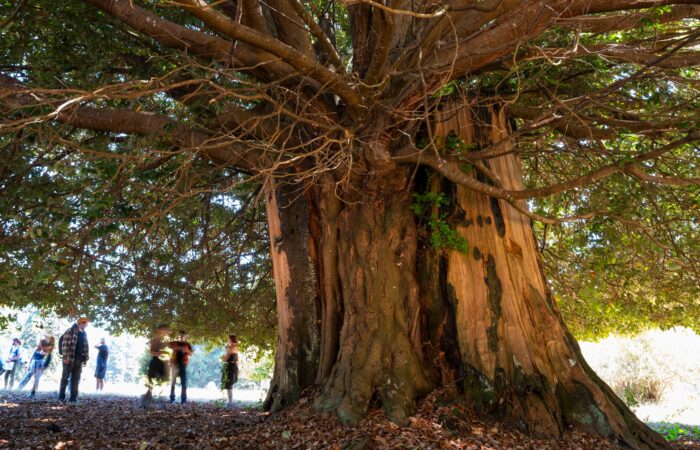Place-Based Learning Communities, Klamath Connection, Field trip to Leavey Ranch, Forestry-focused