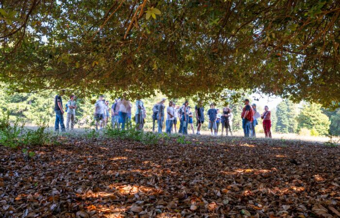 Place-Based Learning Communities, Klamath Connection, Field trip to Leavey Ranch, Forestry-focused