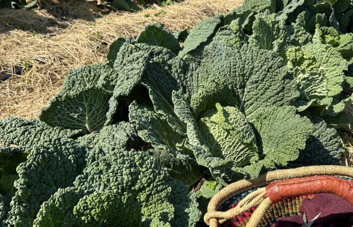 IMG_1653 Grace Poitras