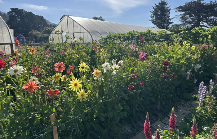 IMG_2405 Grace Poitras