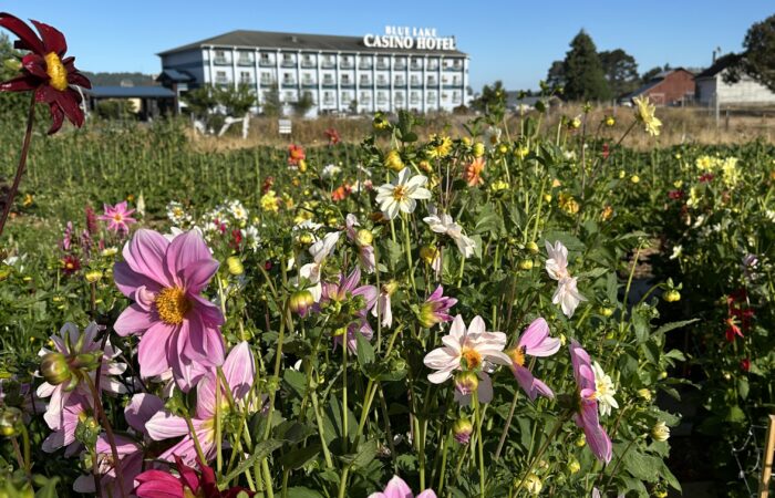 IMG_2427 Grace Poitras