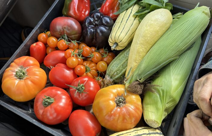 IMG_3363 Grace Poitras